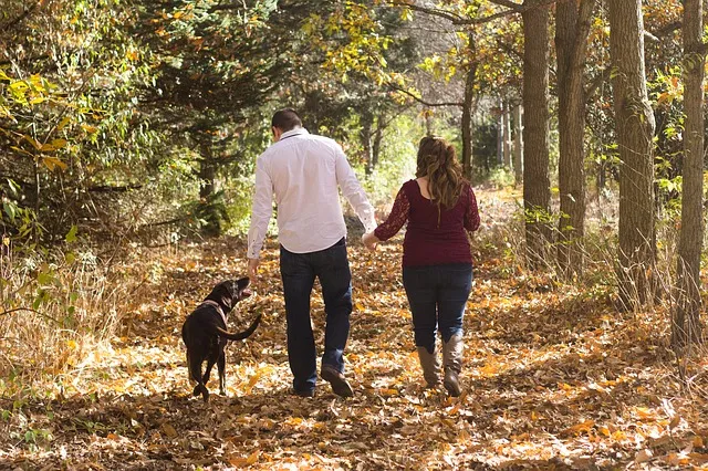 A person and their dog enjoying a walk through a sun-dappled forest, promoting outdoor activity