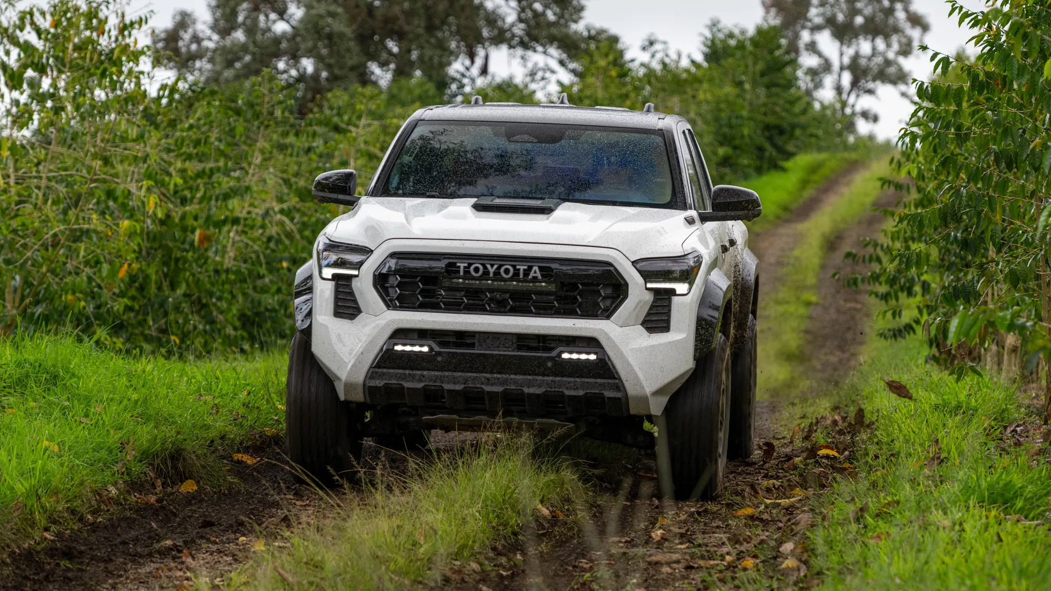 A rugged 2024 Toyota Tacoma TRD Pro in an off-road setting
