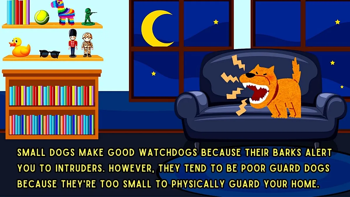 A small dog as a watchdog