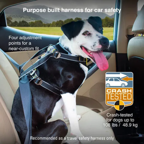 A small dog wearing the Impact Harness, looking calmly out of a car window, secured by the seatbelt system