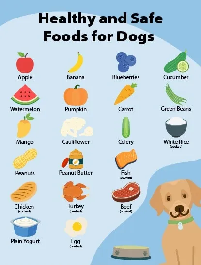 A variety of healthy and safe foods for dogs, including fruits, vegetables, and proteins.