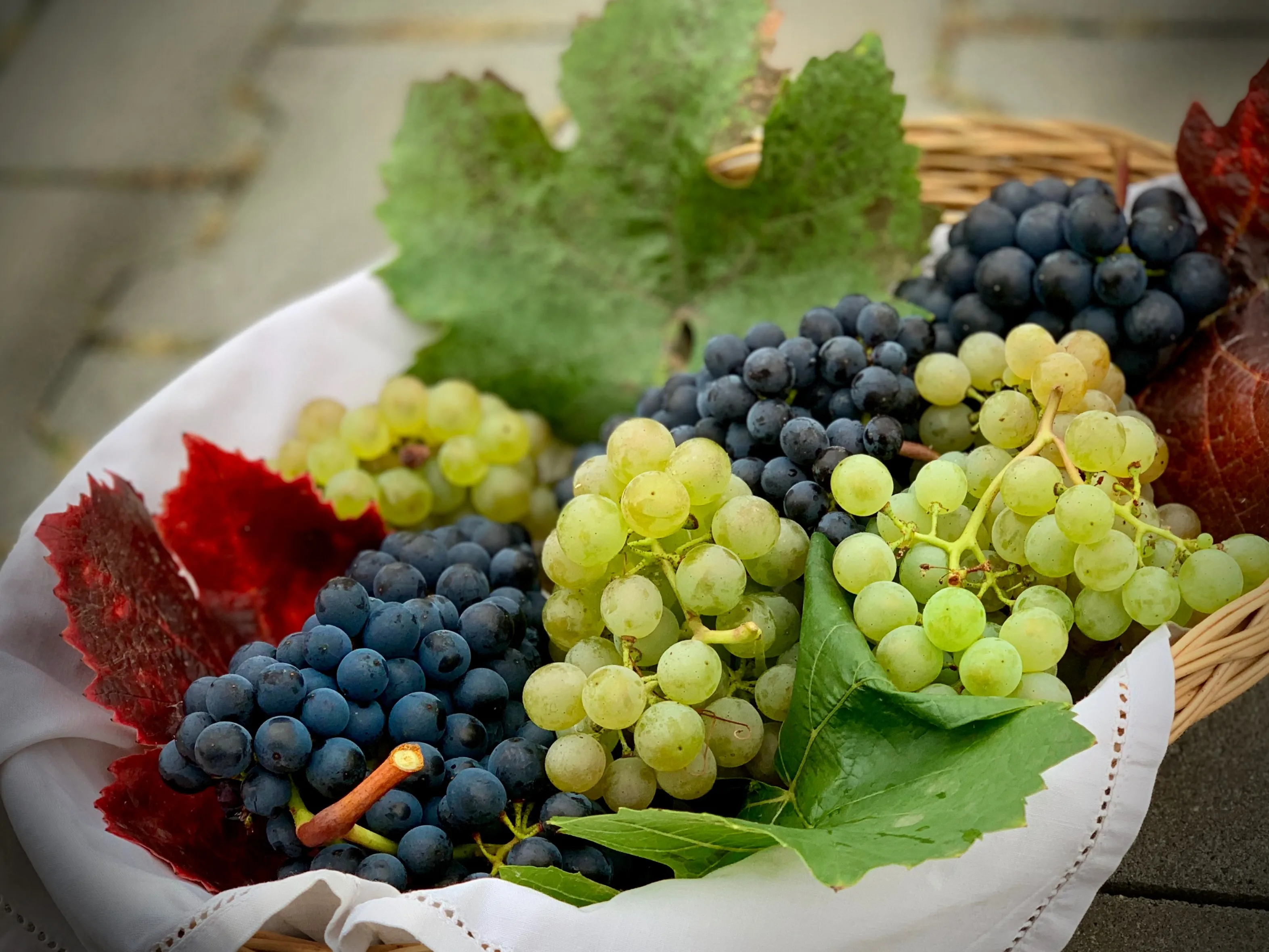 A vibrant close-up of fresh red grapes and small blueberries, highlighting their colors and textures