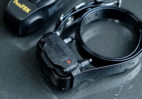 A wet Dogtra 200NCPT receiver collar, highlighting its waterproof design