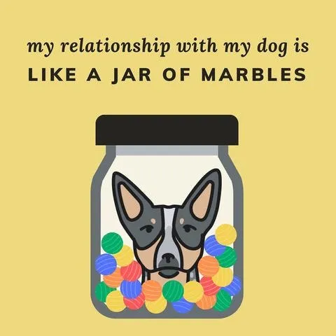 Additional Instagram post on Brené Brown's marble jar analogy