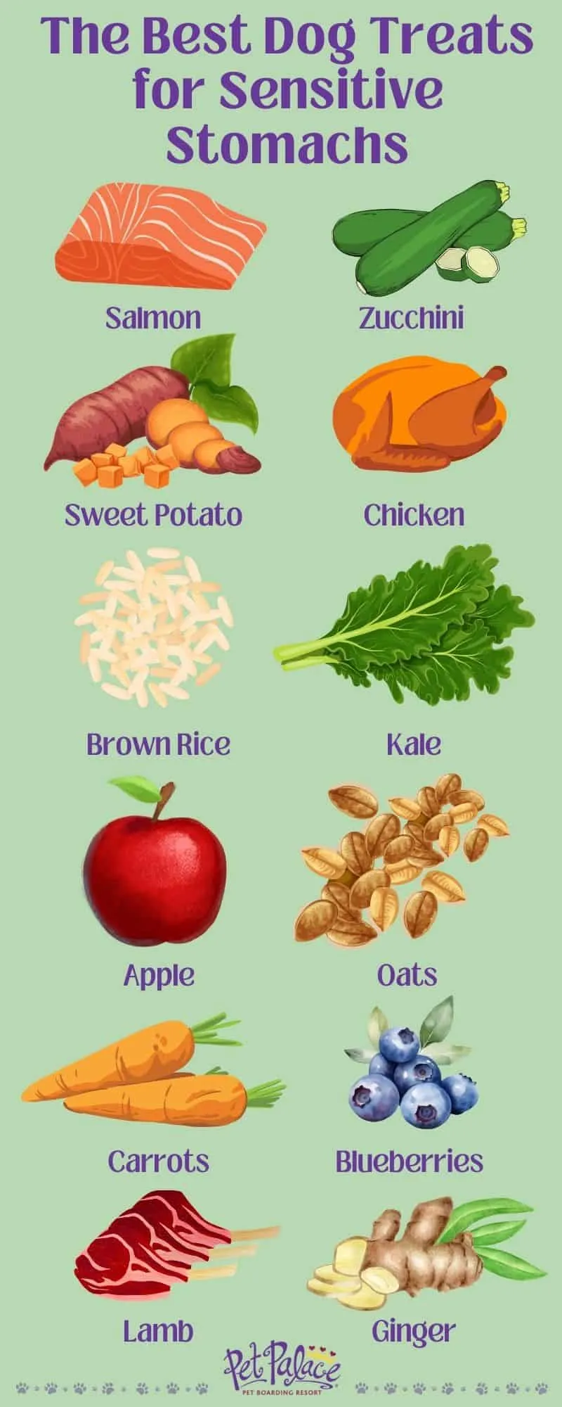 An assortment of healthy dog treats laid out, emphasizing variety for sensitive stomachs