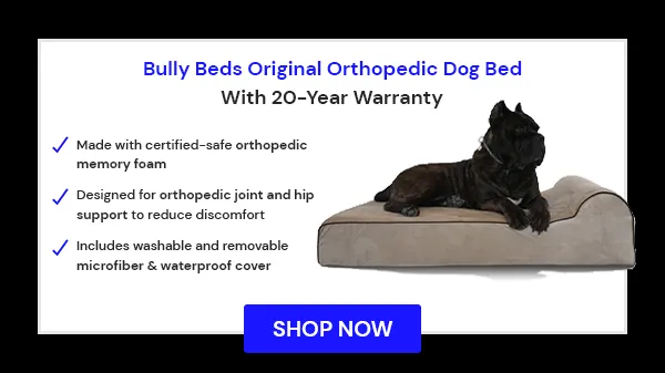 An original Bully Bed, an orthopedic giant dog bed with a 20-year warranty, designed for large breeds.