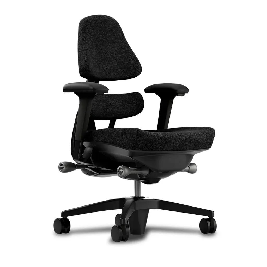 Anthros ergonomic chair with pelvic support system