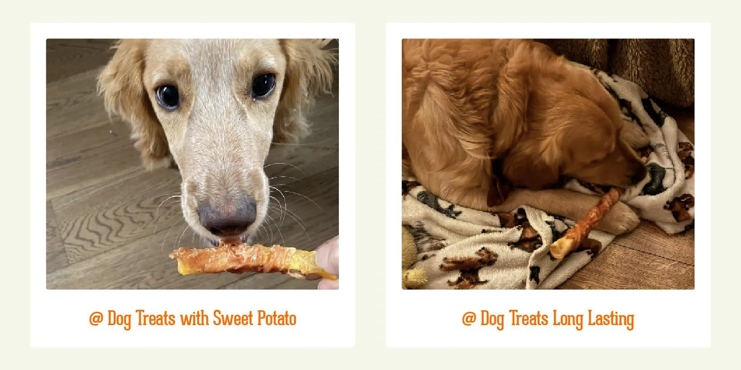 Assortment of Packnpride treats suitable for cats and dogs