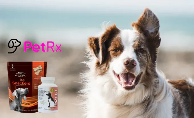 Autoship promotion banner showing pet delivery benefits