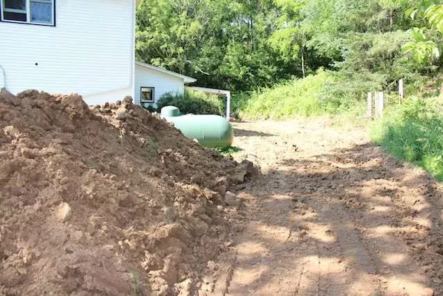 Backyard construction disrupting native plants, a reminder of life's disruptions