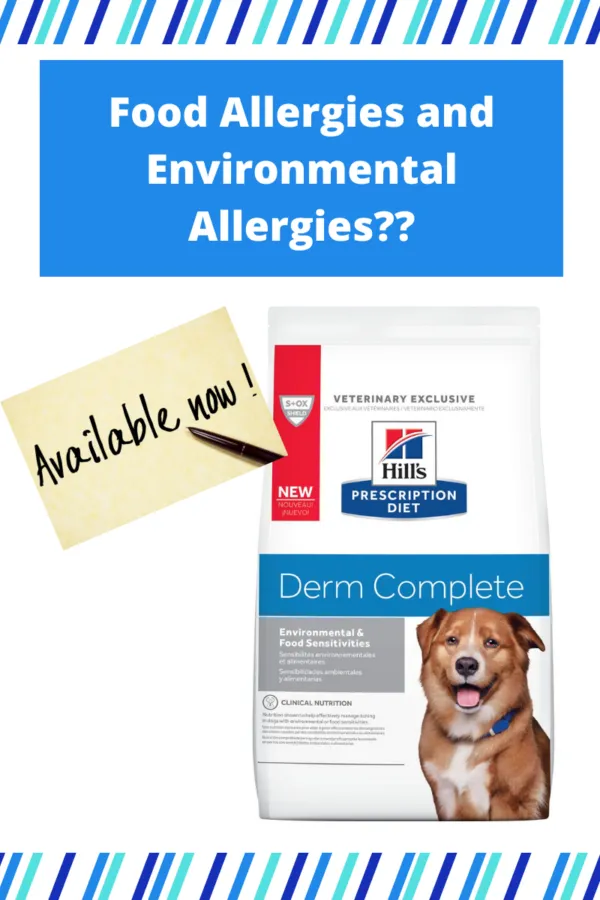 Bag of Hill's Derm Complete dog food, highlighting its specialized formula