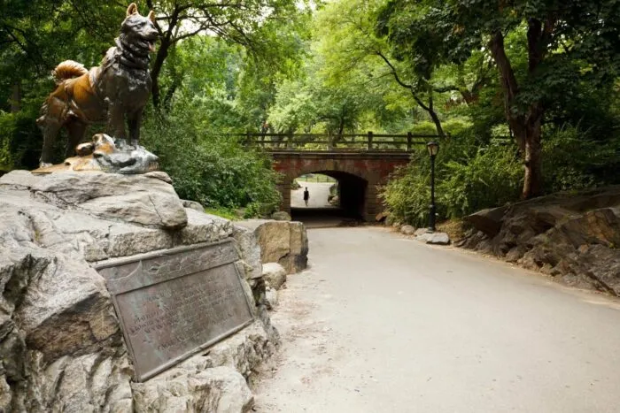 Balto new york