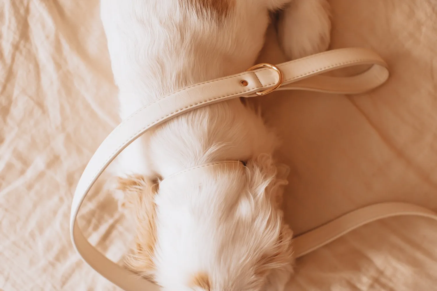 Barc London | Light Ivory Vegan Leather Dog Collar & City Lead Set | Editor