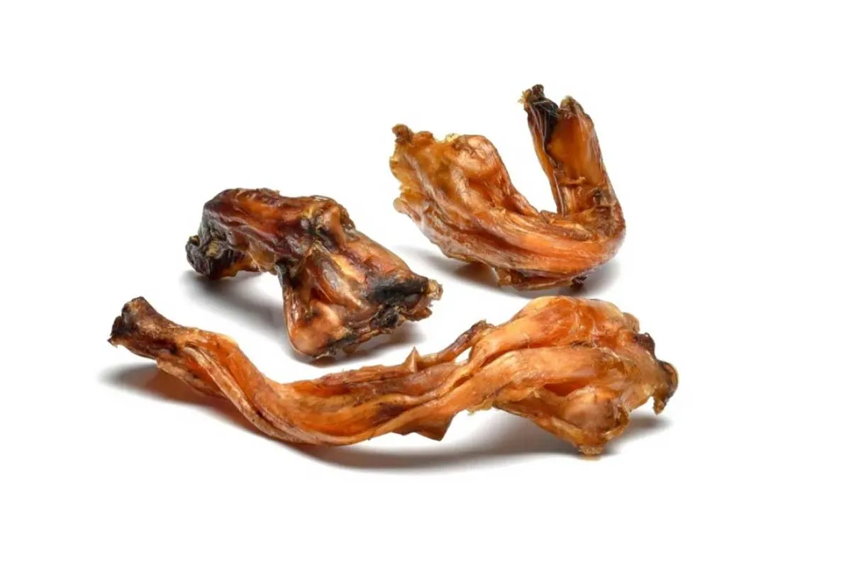 Beef Tendon for French Bulldogs