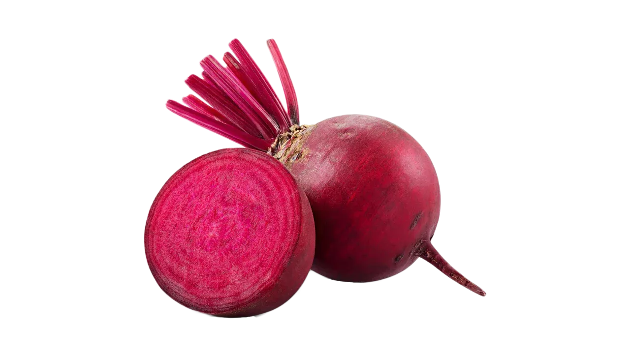 Beets providing antioxidants for German Shepherd health