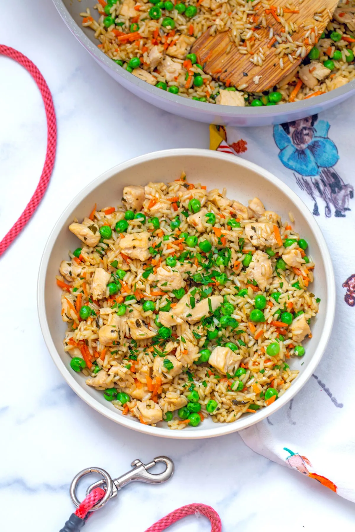 Big bowl of chicken and rice with skillet and dog leash in background.