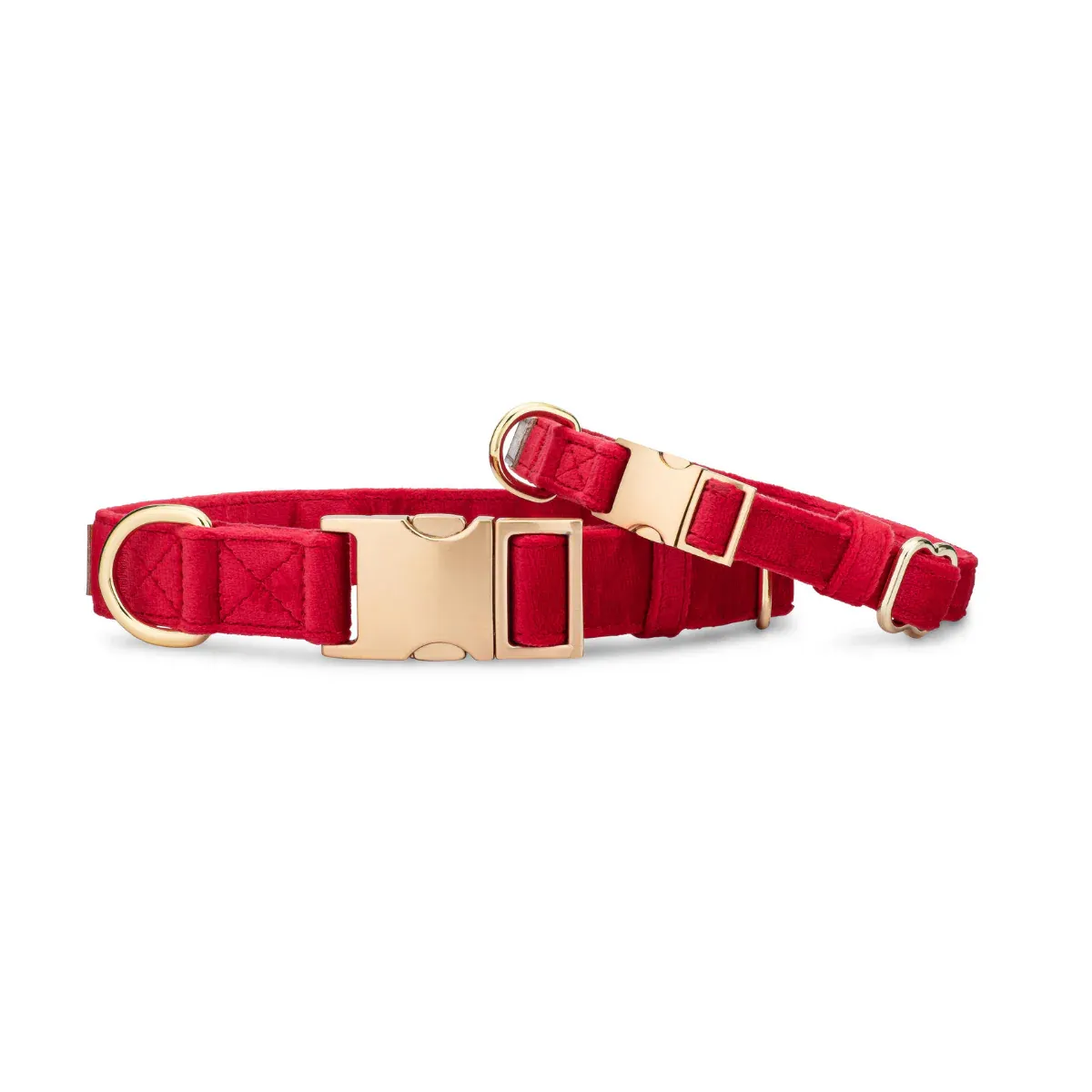 Blaze Dog Collar double view