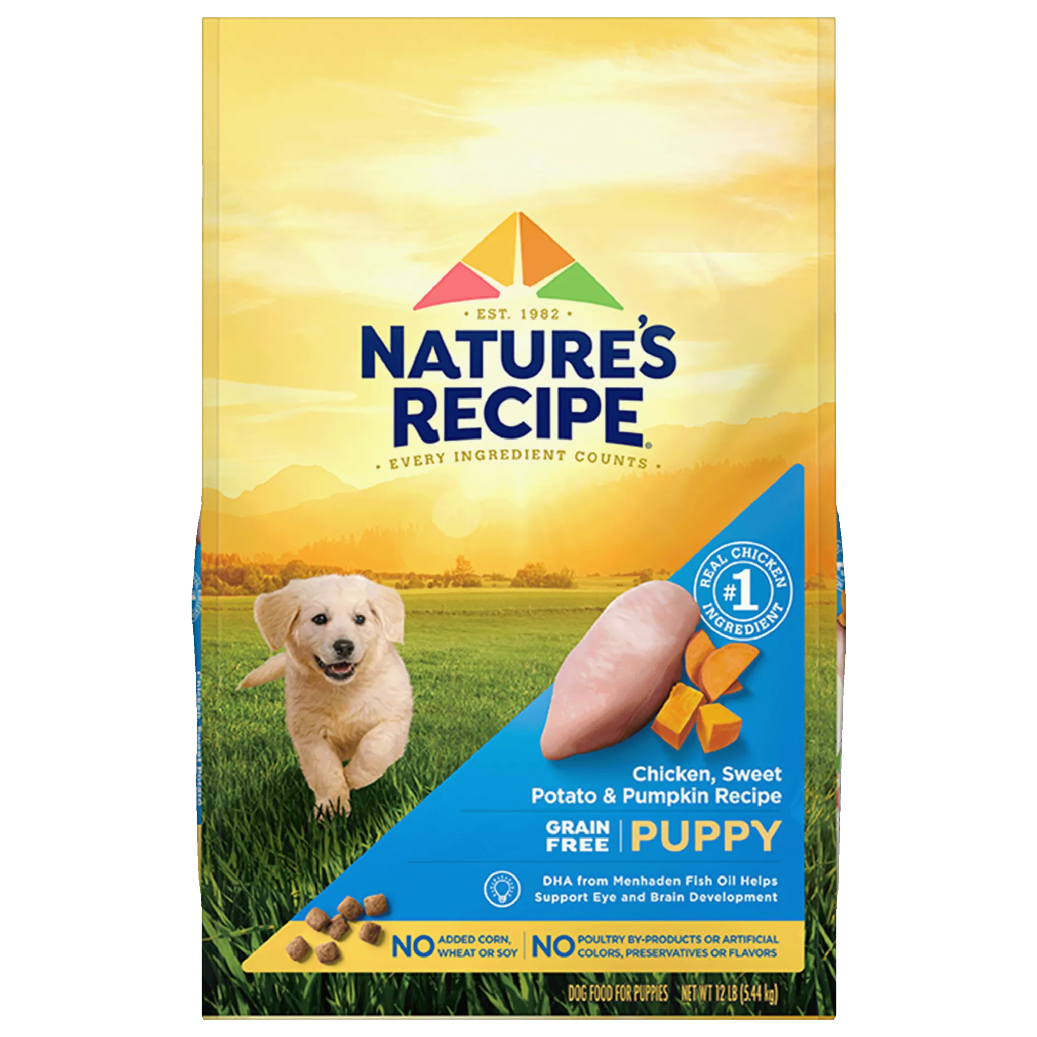 Bowl of dry dog food with measuring cup
