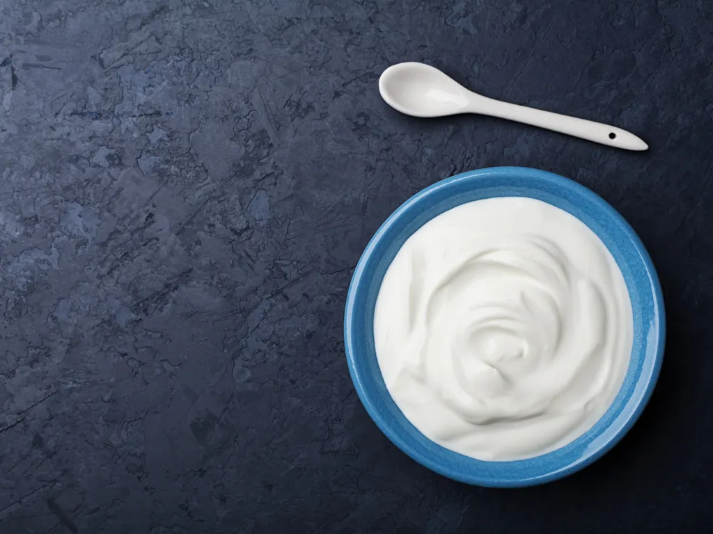 can dogs eat greek yogurt