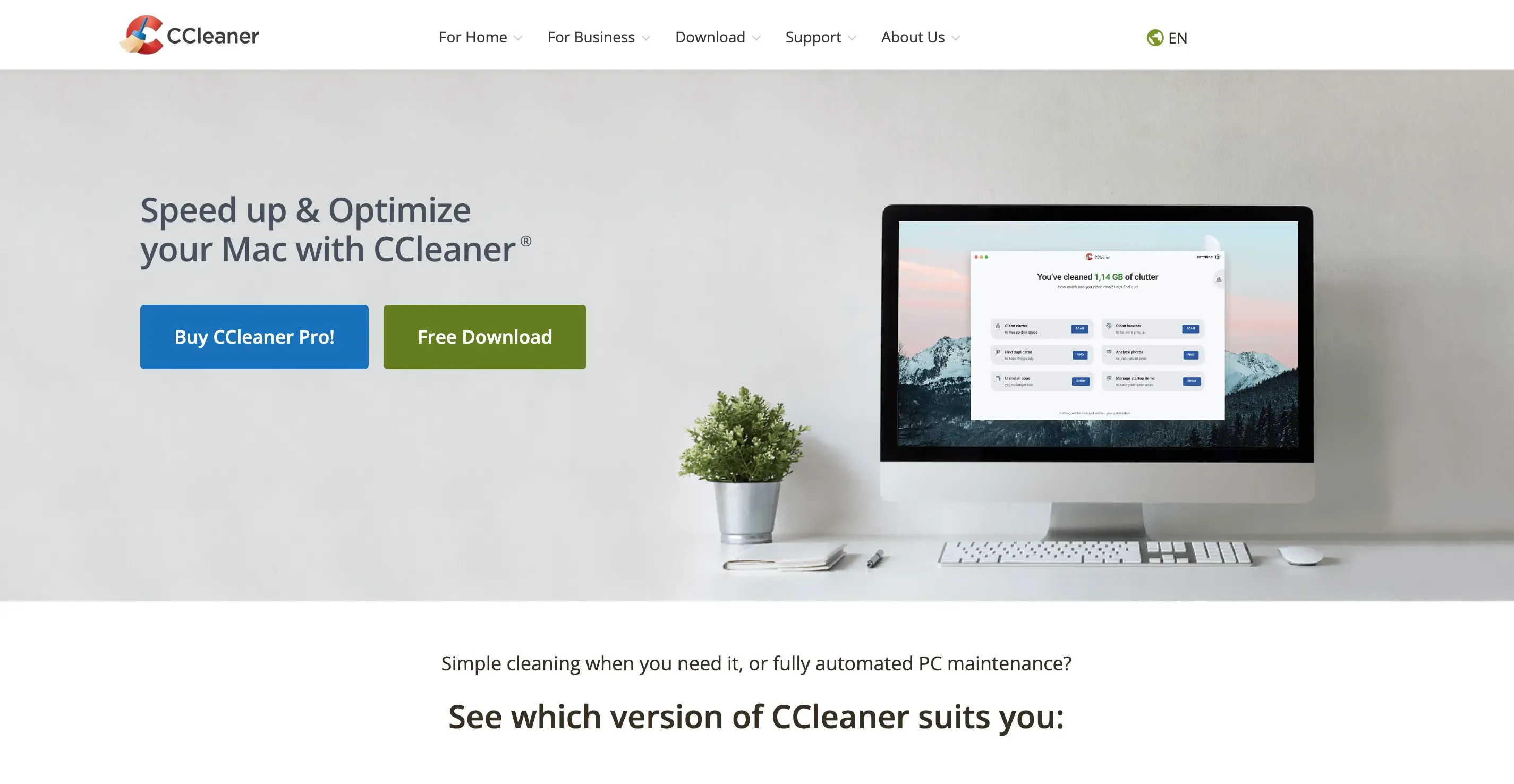 CCleaner Interface