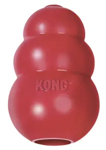Classic Kong toy stuffed for extended chewing sessions