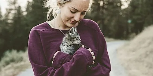 Client review section with pet emergency response visuals
