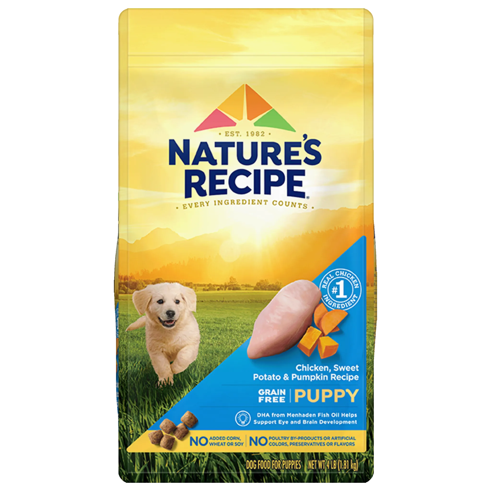 Close-up of dry dog food kibble with visible ingredients
