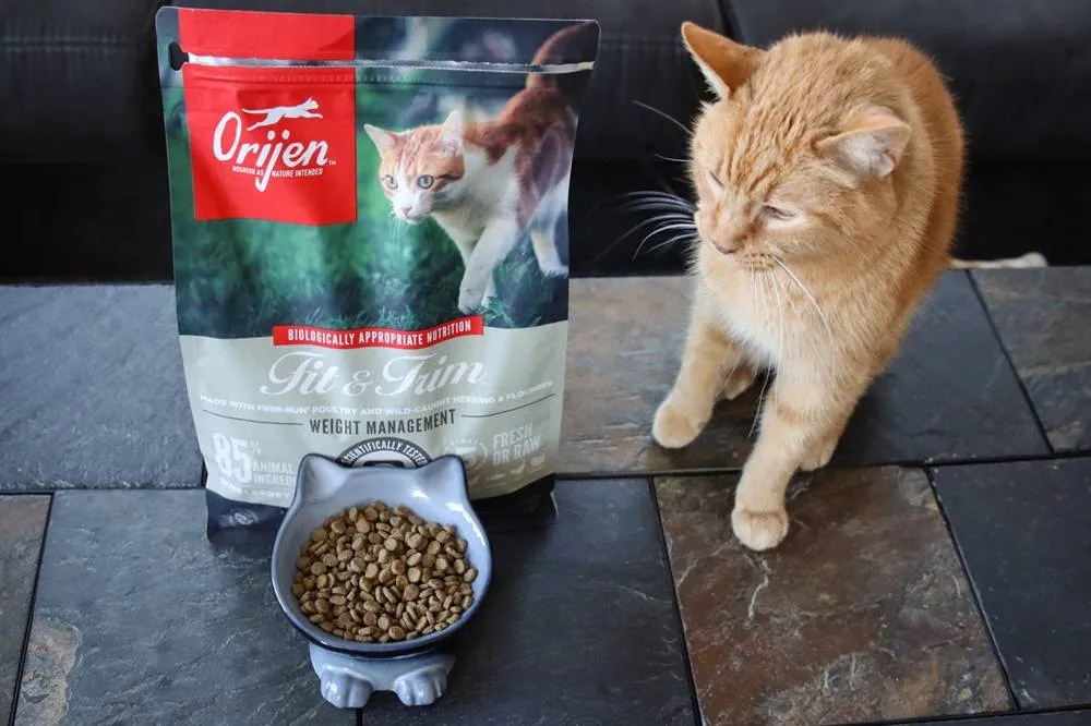 Close-up of Orijen Fit & Trim dry kibble, showing the texture and size of the food pieces.