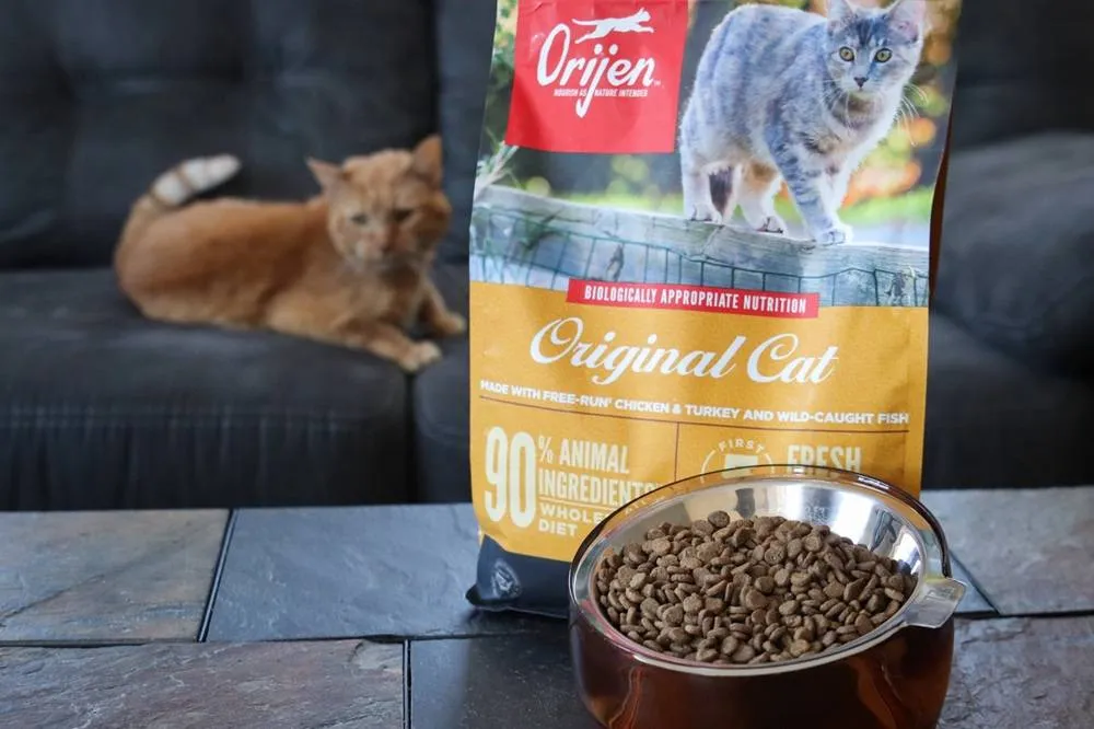 Close-up of Orijen Original dry cat and kitten kibble, highlighting the shape and color of the food.
