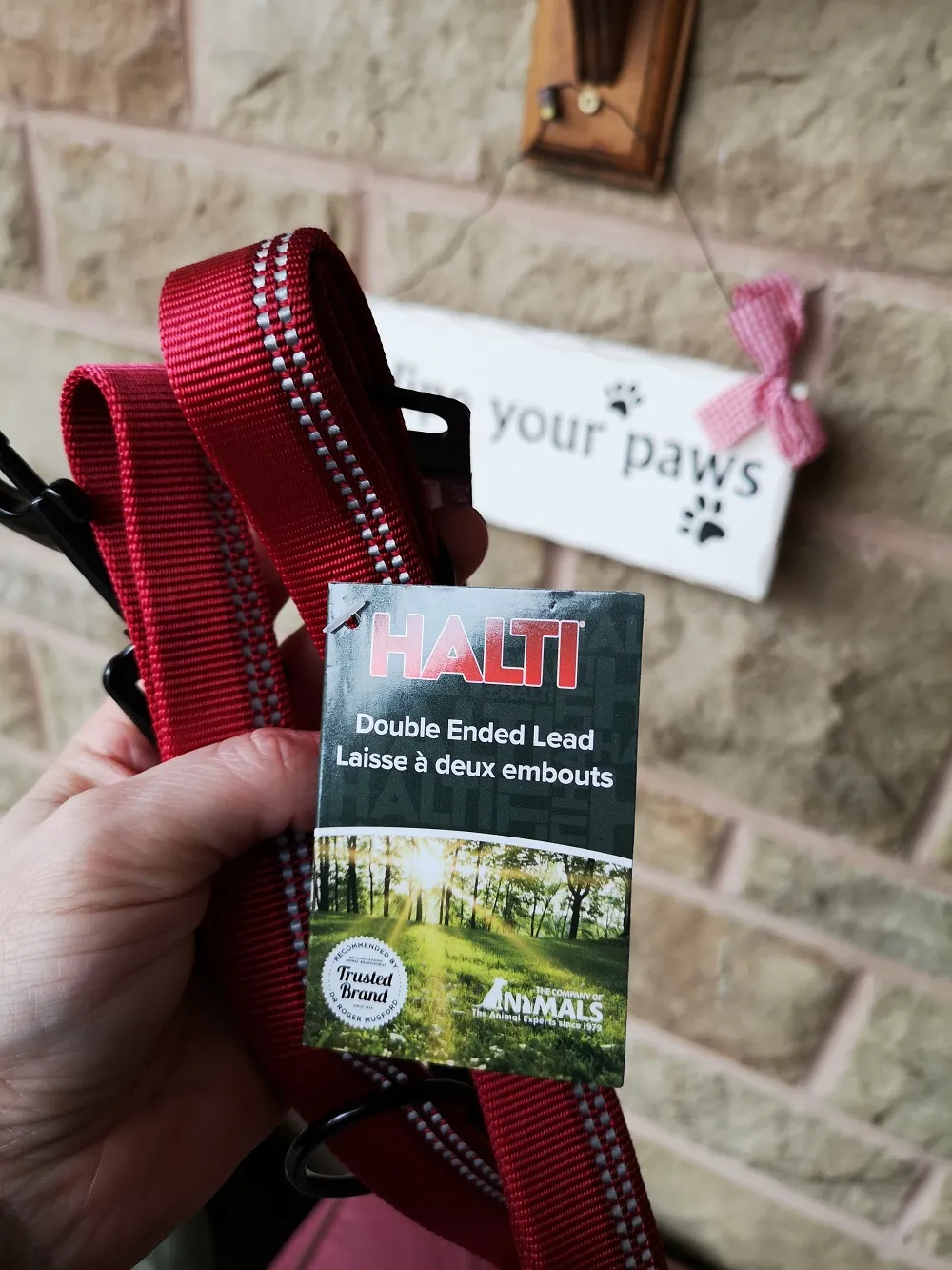 Close-up of the HALTI double-ended lead, showcasing its secure metal clip and durable webbing.