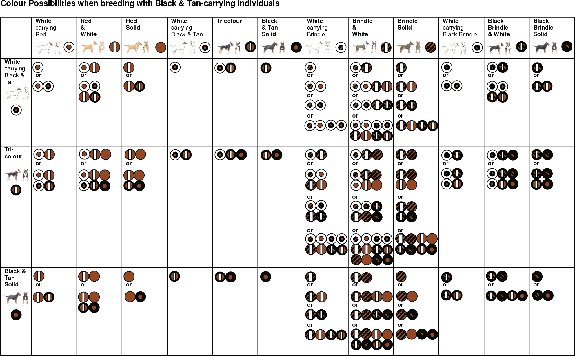Color possibility table 2