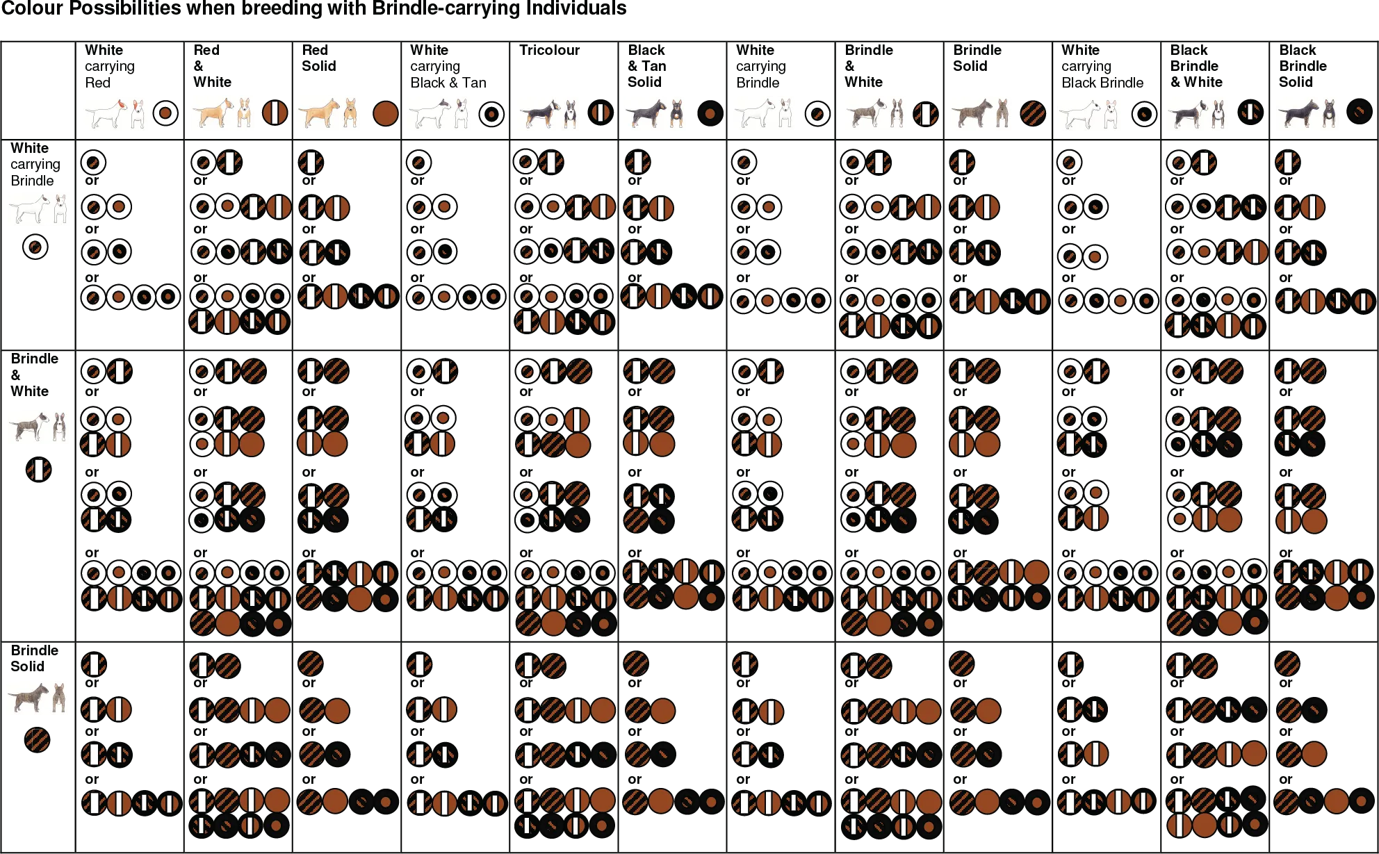 Color possibility table 3