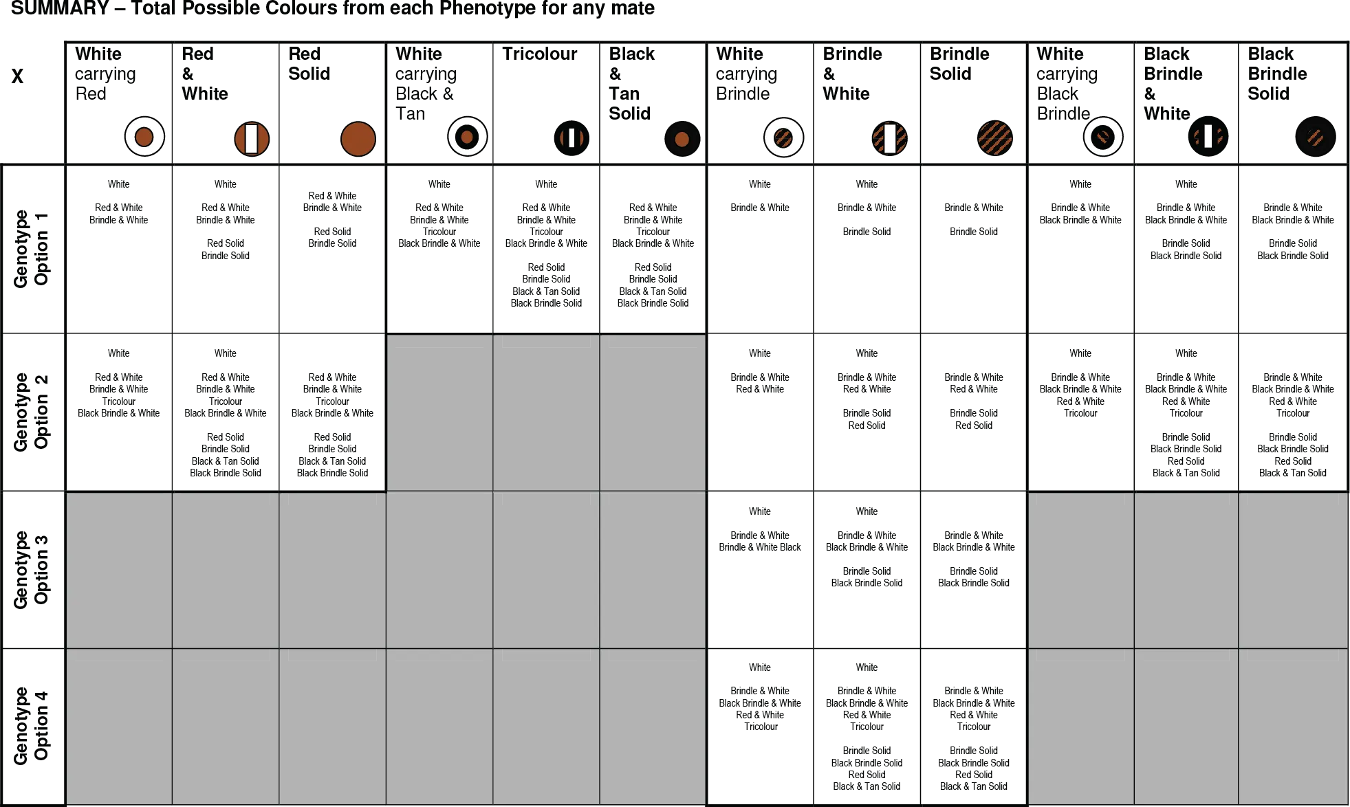 Color possibility table 5