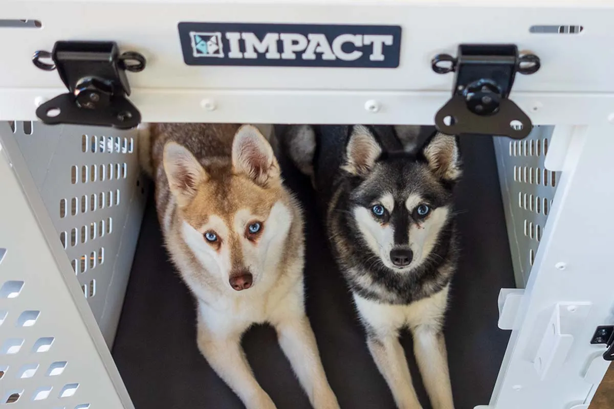Copper and Skye in their Impact Collapsible Dog Crate (Photo: lifewithkleekai.com)