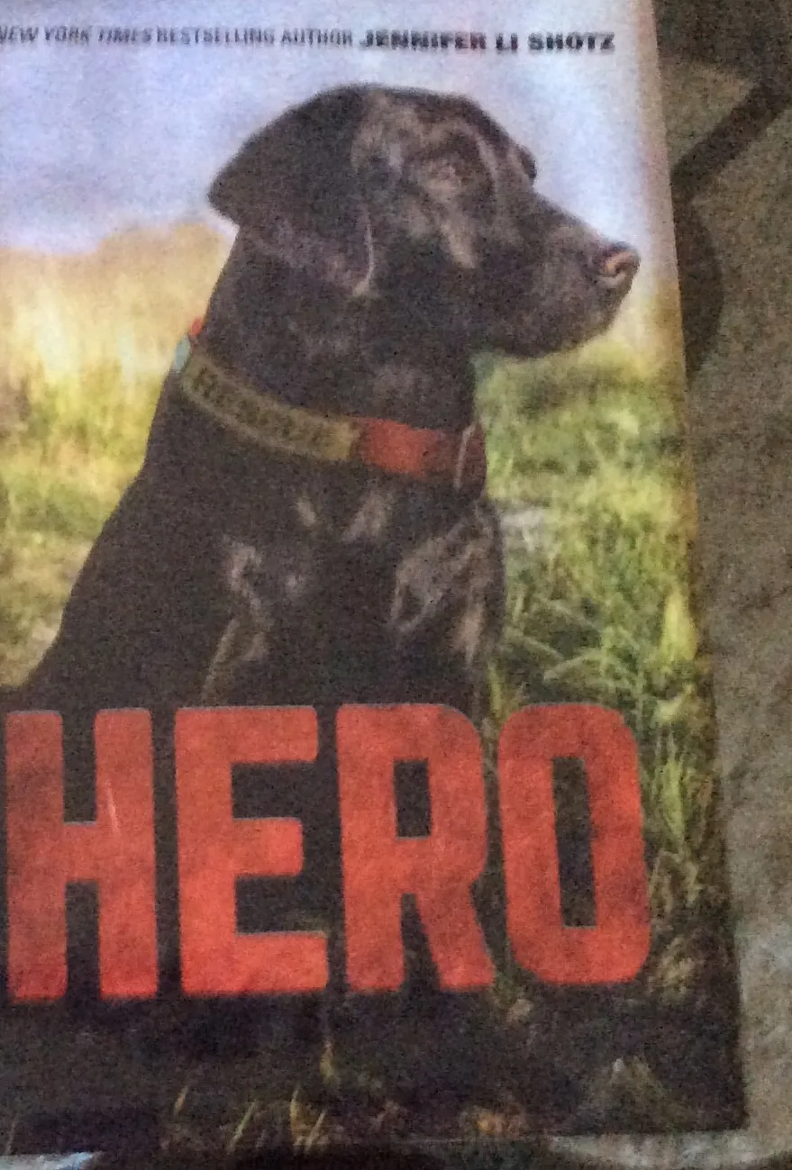 Cover image of Hero book featuring the black Labrador