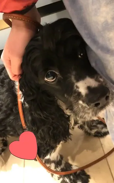 Daniella is a sweet and shy regular of mine that I've become very close to!