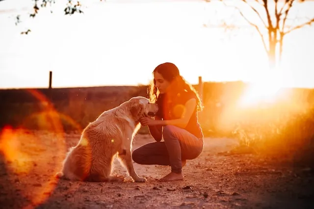 Dog and owner embracing outside