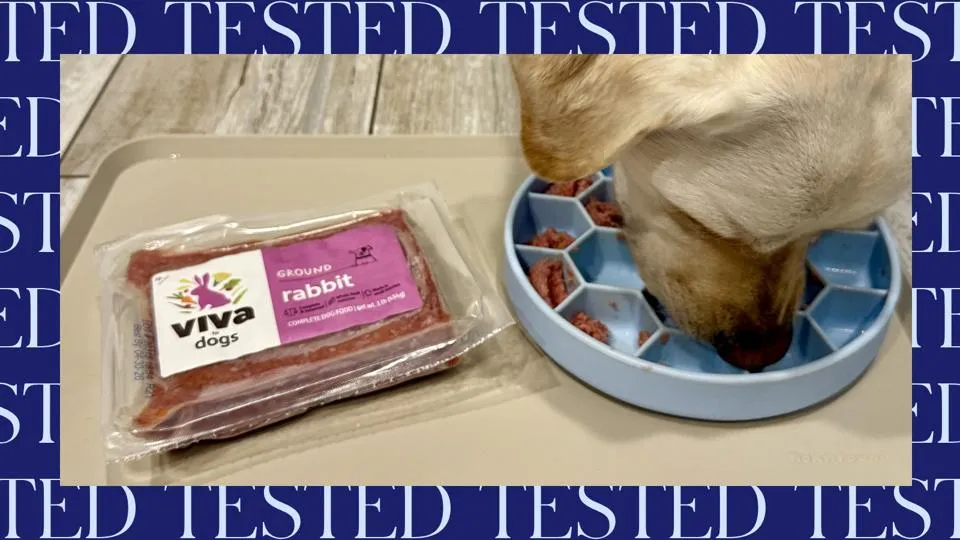 Dog eating raw food out of a slow-feeder bowl next to a package of Viva Raw.