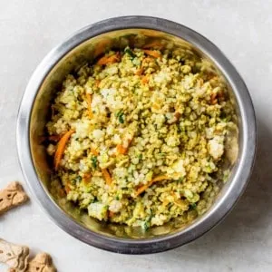 Dog food in a metal dish