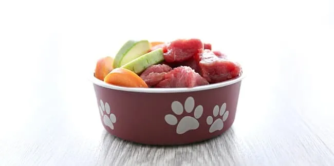 Dog food ingredients