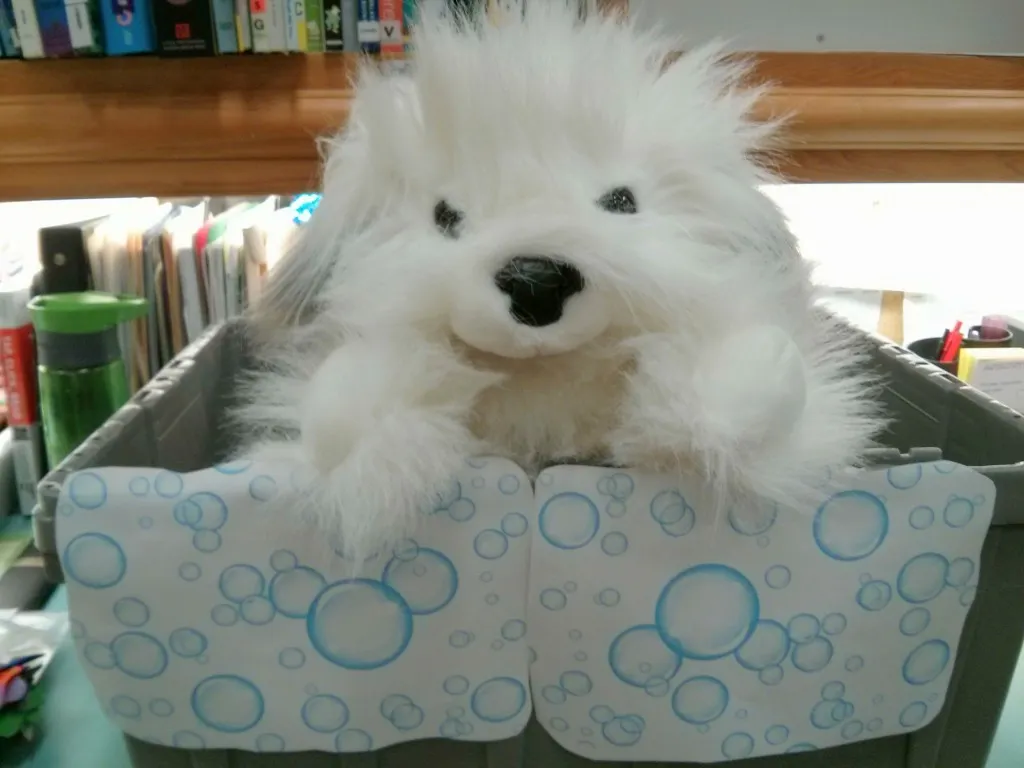 dog in bath