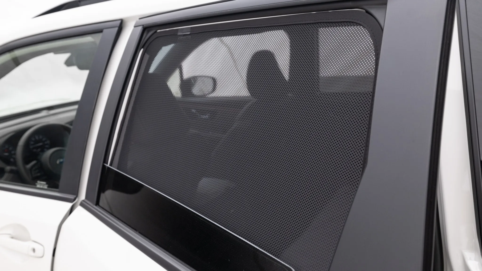 Dog leaning against a car door protector