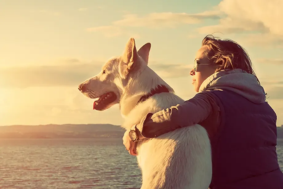 Dog ownership increases activity