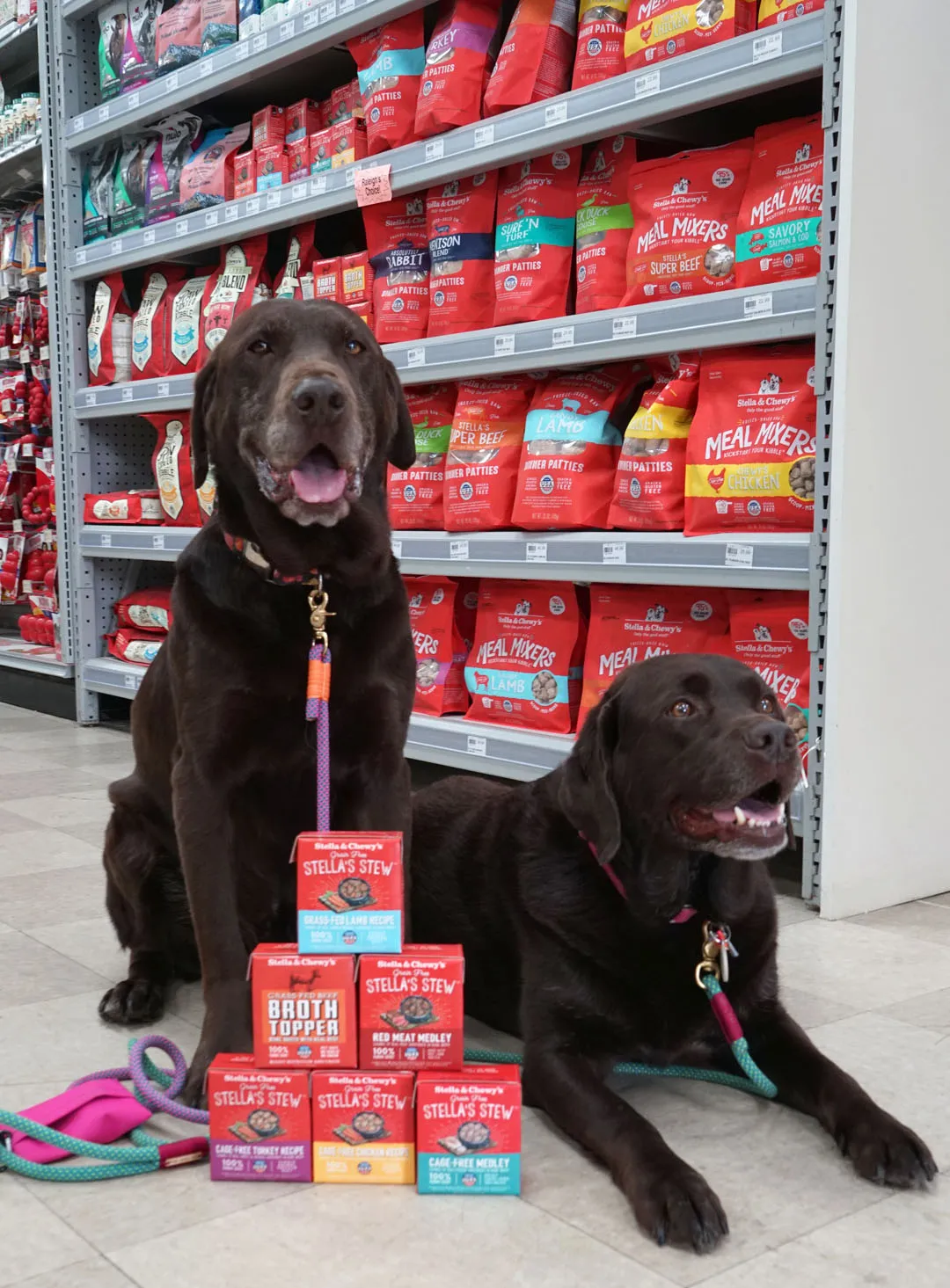 Dog sniffing a shelf of Stella & Chewy's wet food in a store