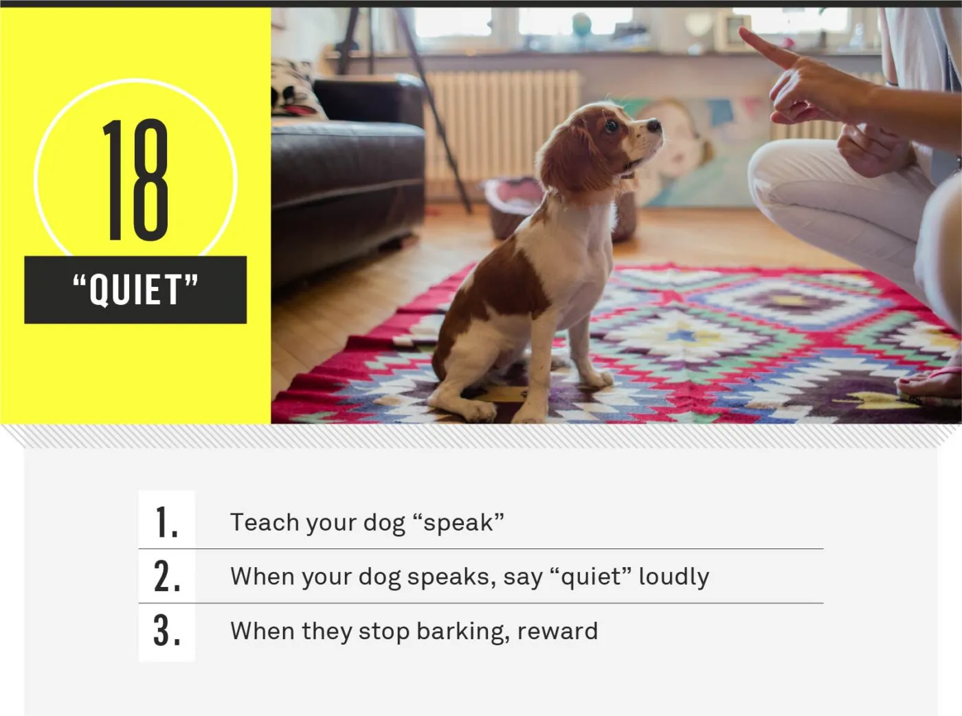 Dog stopping bark and quieting down on command