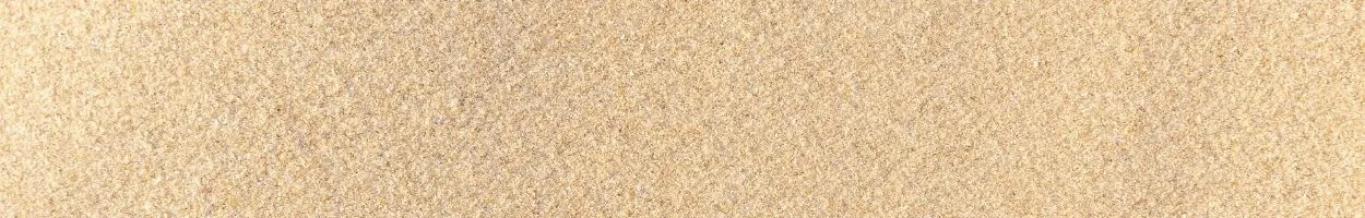 Dog using a sand potty area