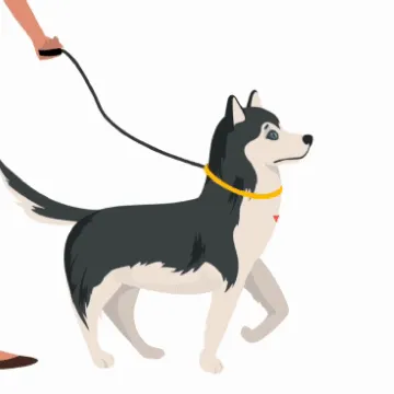 Dog walking comfortably with the HarnessBuddy, showing no signs of choking
