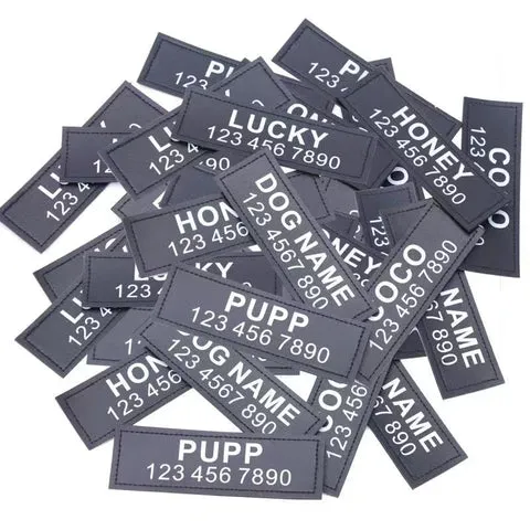Dog wearing a HarnessBuddy with personalized name and contact number patches