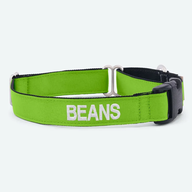 Dog wearing an Embroidered Comfort Martingale Collar