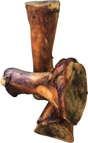 Dog with K9 Connoisseur bone
